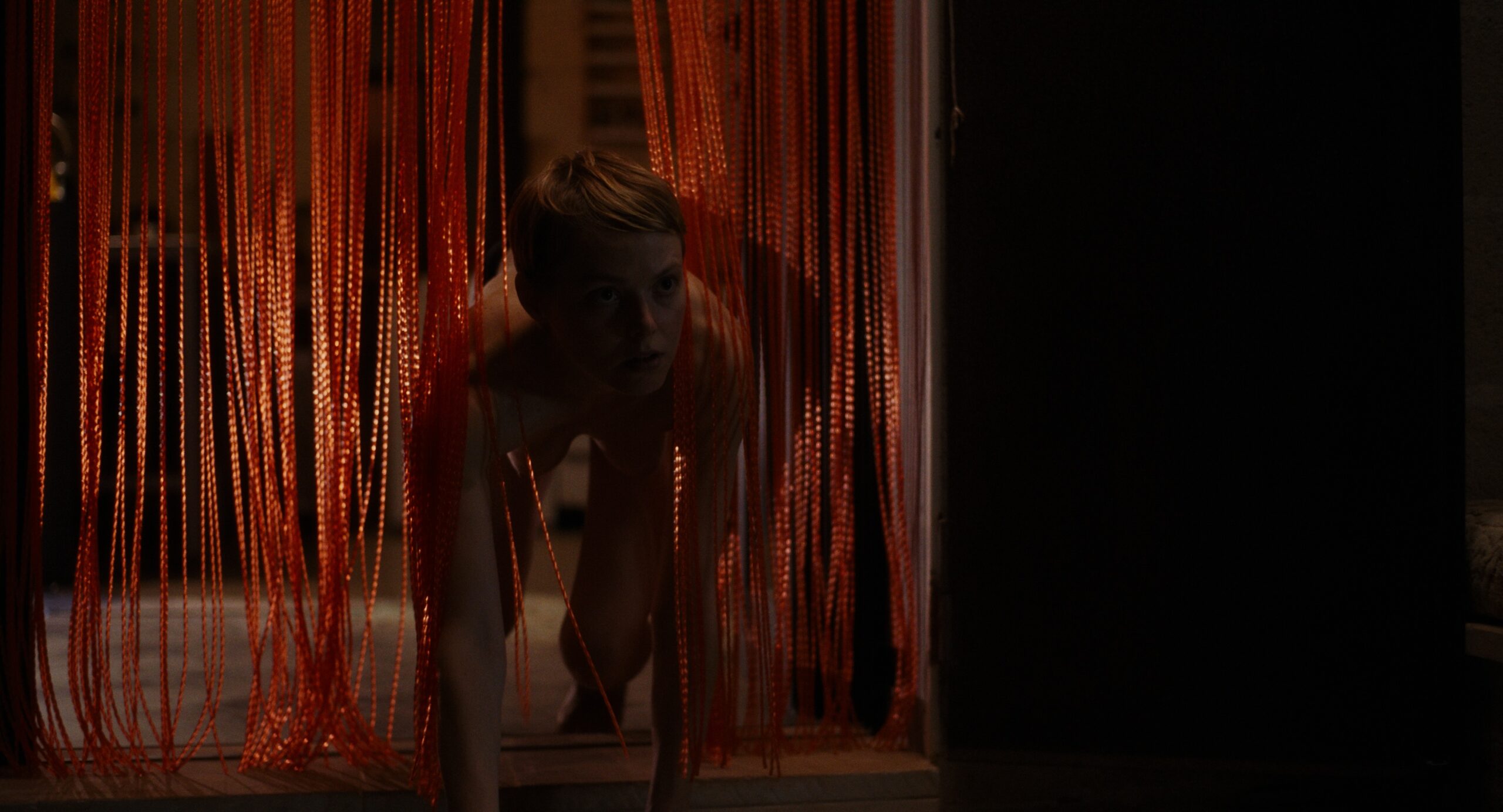 Hyäne Still 7